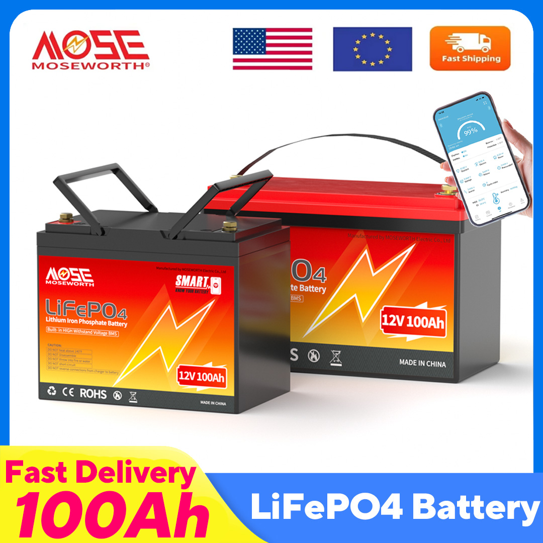 MOSEWORTH LiFePO4 12V 100Ah バッ - Lifepo4 12V 100Ah Bms Bluetooth のレビューと価格
