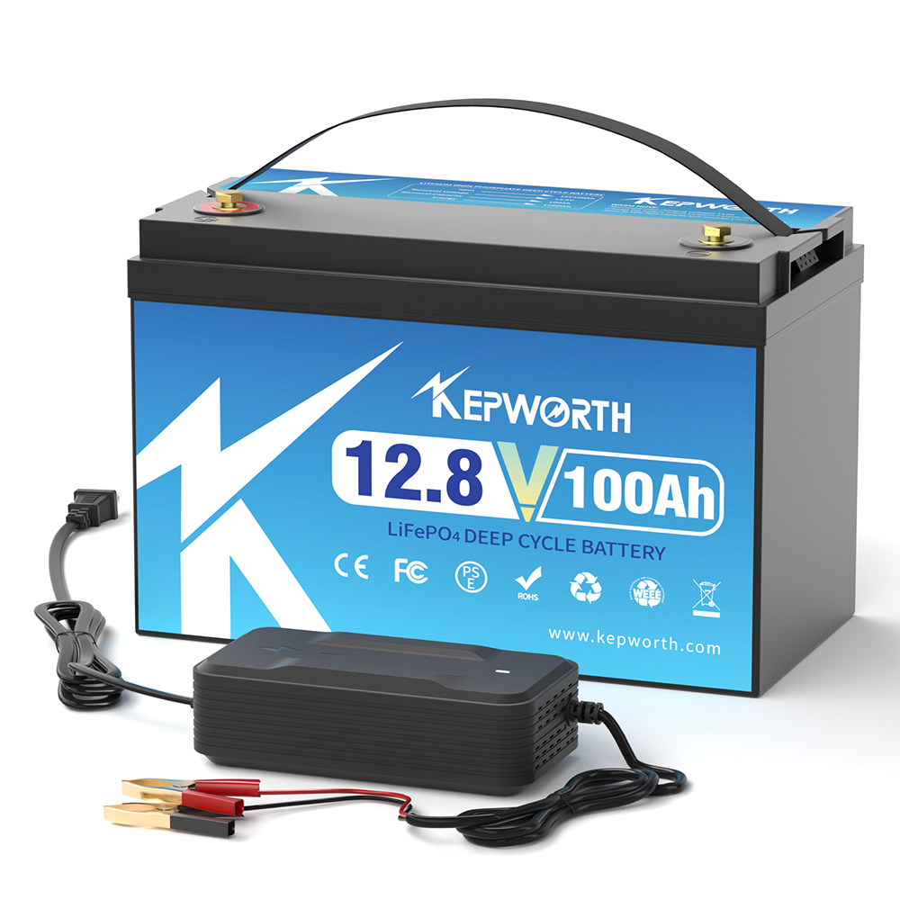 12V 24V 100AH 120AH 300AH LiFe - Lifepo4 12V 100Ah Bms Bluetooth のレビューと価格